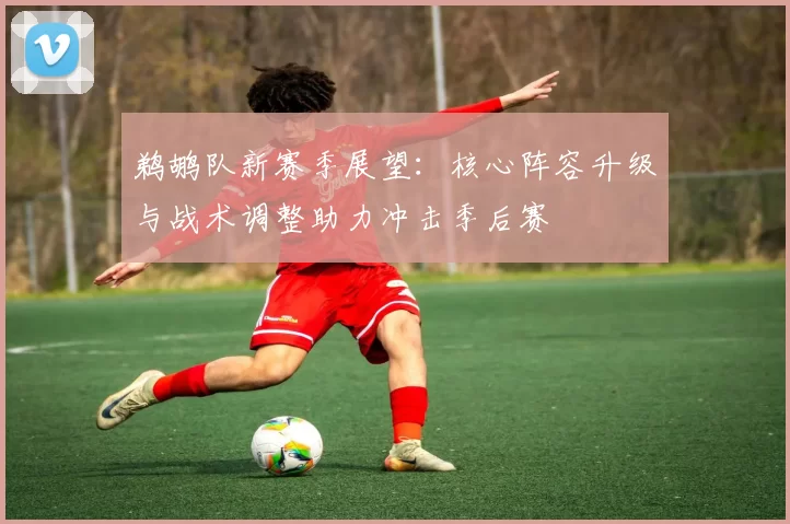 鹈鹕队新赛季展望：核心阵容升级与战术调整助力冲击季后赛