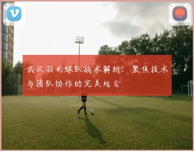 武汉羽毛球队战术解析：聚焦技术与团队协作的完美结合