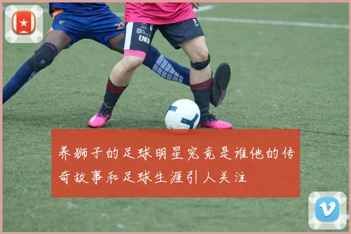 养狮子的足球明星究竟是谁他的传奇故事和足球生涯引人关注
