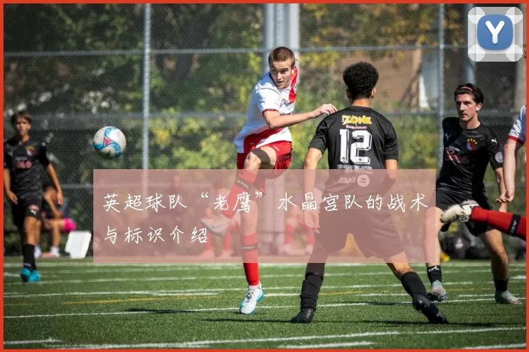 英超球队“老鹰”水晶宫队的战术与标识介绍