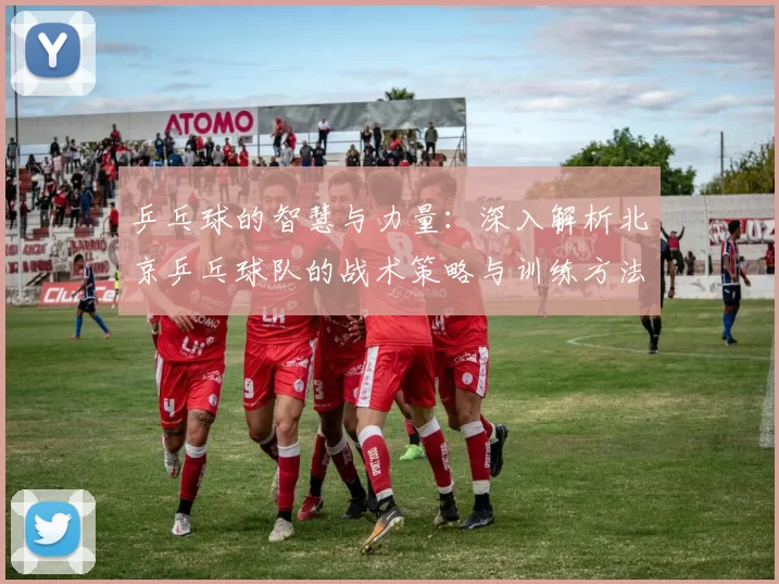 乒乓球的智慧与力量：深入解析北京乒乓球队的战术策略与训练方法