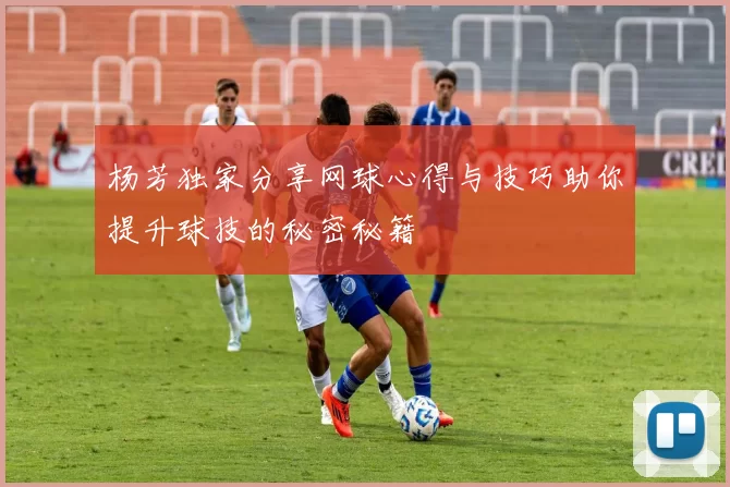 杨芳独家分享网球心得与技巧助你提升球技的秘密秘籍