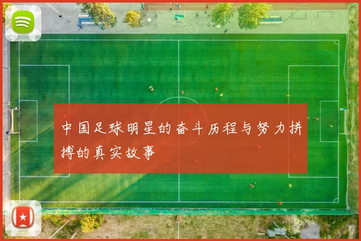 中国足球明星的奋斗历程与努力拼搏的真实故事