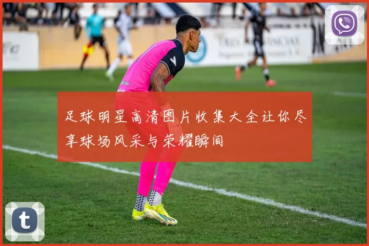 足球明星高清图片收集大全让你尽享球场风采与荣耀瞬间