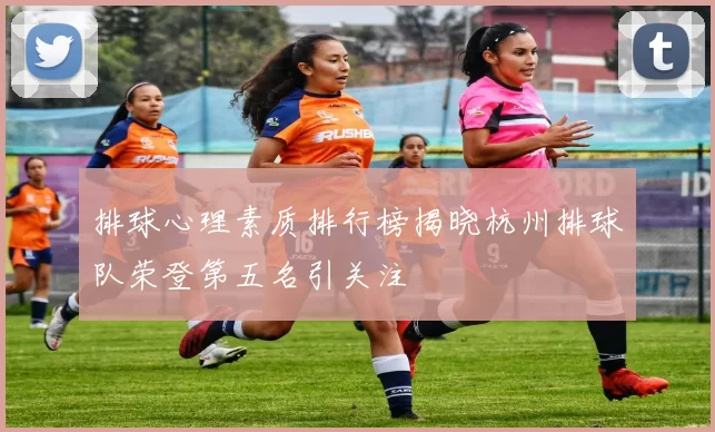 排球心理素质排行榜揭晓杭州排球队荣登第五名引关注