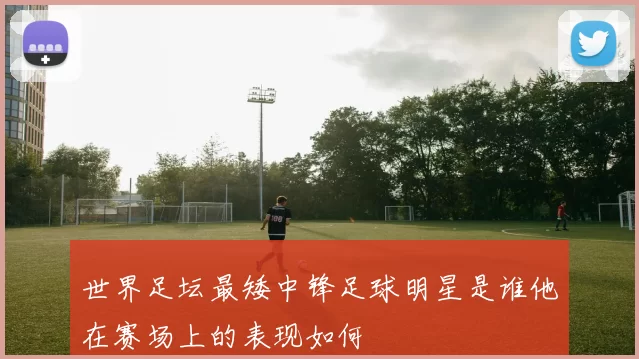 世界足坛最矮中锋足球明星是谁他在赛场上的表现如何