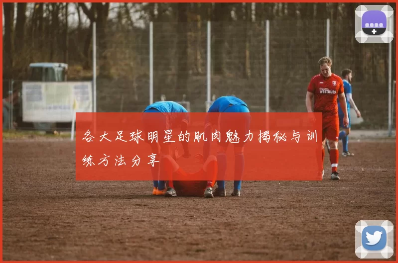 各大足球明星的肌肉魅力揭秘与训练方法分享