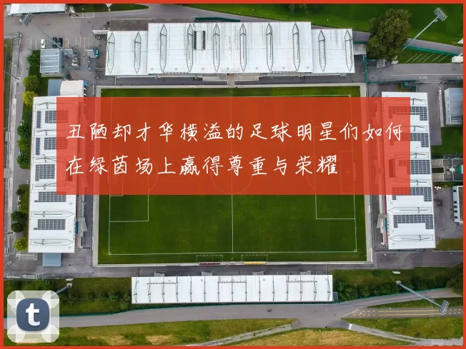 丑陋却才华横溢的足球明星们如何在绿茵场上赢得尊重与荣耀