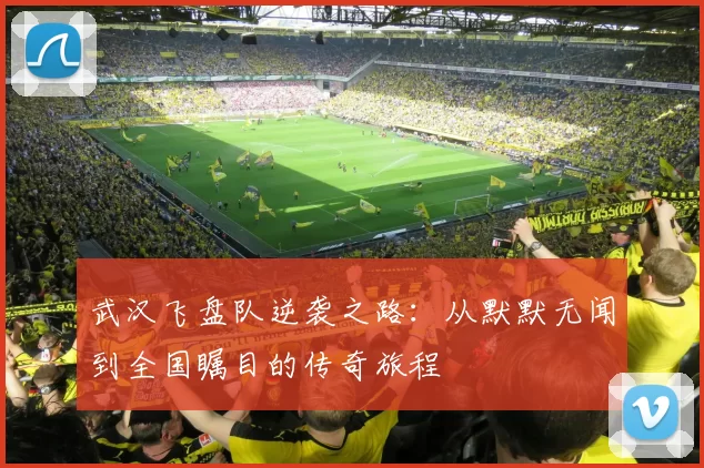 武汉飞盘队逆袭之路：从默默无闻到全国瞩目的传奇旅程