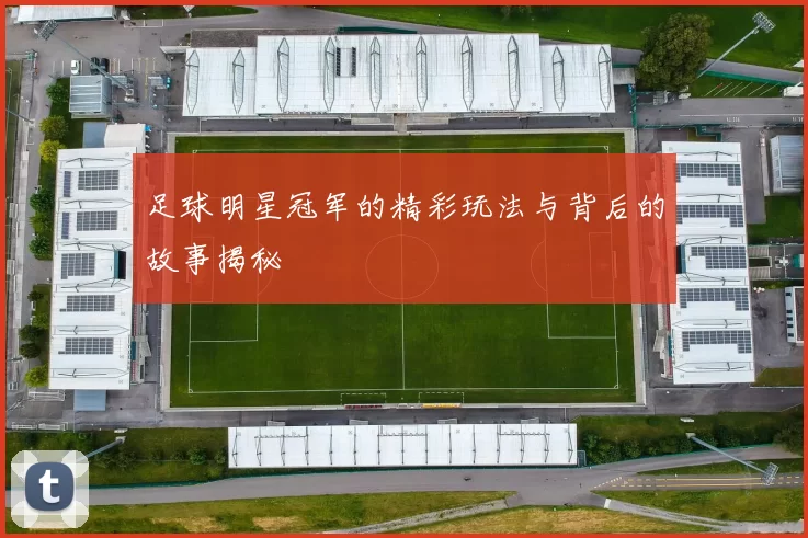 足球明星冠军的精彩玩法与背后的故事揭秘