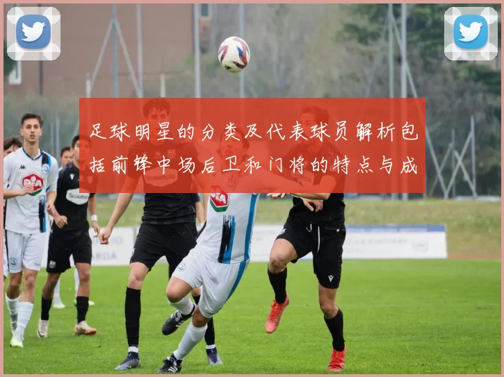 足球明星的分类及代表球员解析包括前锋中场后卫和门将的特点与成就