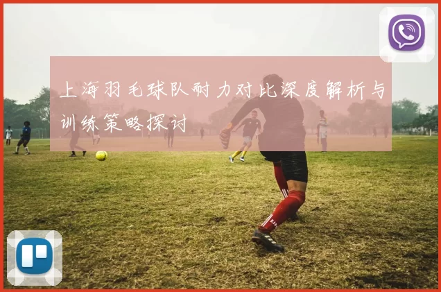 上海羽毛球队耐力对比深度解析与训练策略探讨