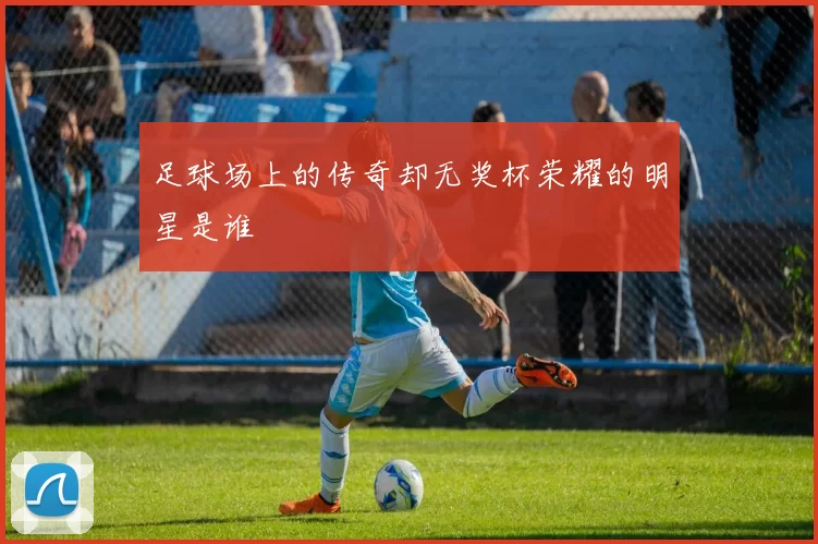 足球场上的传奇却无奖杯荣耀的明星是谁