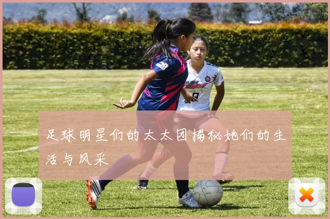 足球明星们的太太团揭秘她们的生活与风采