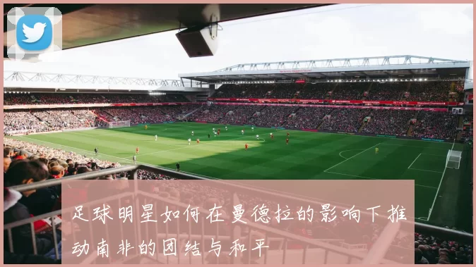 足球明星如何在曼德拉的影响下推动南非的团结与和平