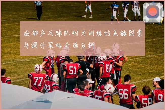 成都乒乓球队耐力训练的关键因素与提升策略全面分析