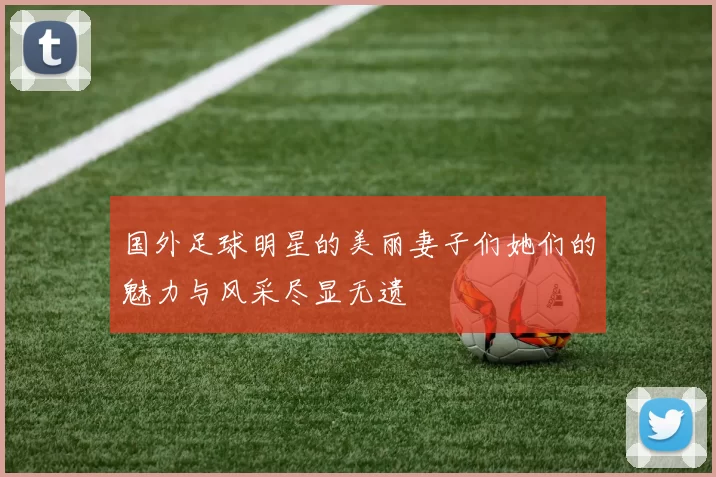 国外足球明星的美丽妻子们她们的魅力与风采尽显无遗