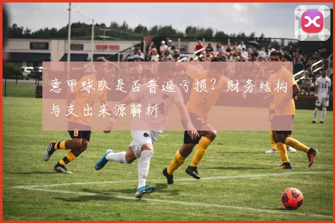 意甲球队是否普遍亏损？财务结构与支出来源解析