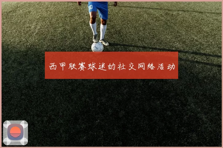 西甲联赛球迷的社交网络活动