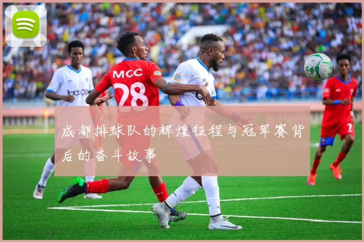 成都排球队的辉煌征程与冠军赛背后的奋斗故事