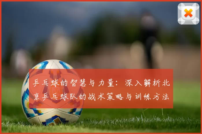 乒乓球的智慧与力量：深入解析北京乒乓球队的战术策略与训练方法