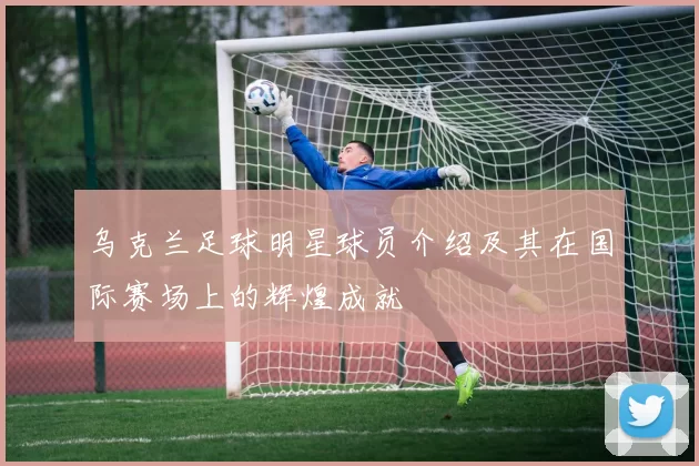 乌克兰足球明星球员介绍及其在国际赛场上的辉煌成就