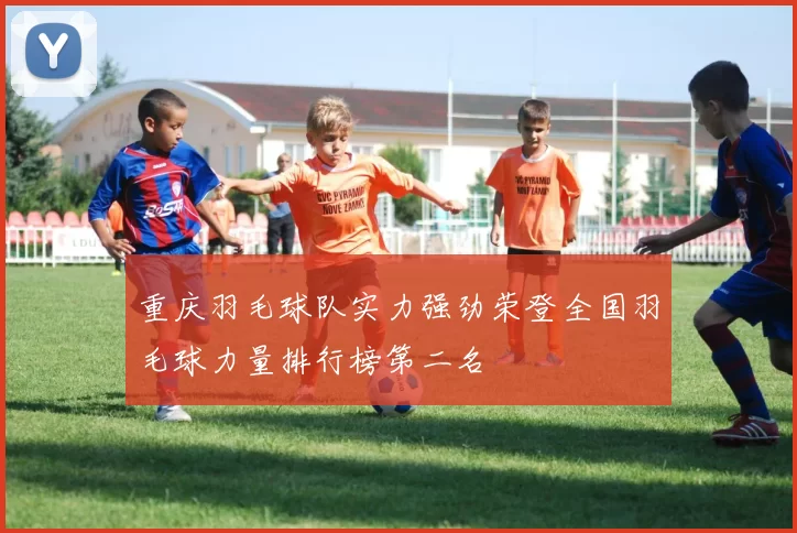 重庆羽毛球队实力强劲荣登全国羽毛球力量排行榜第二名