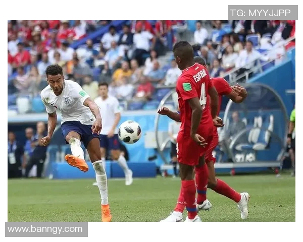 杭州网球队实力引发热议球迷对其表现产生分歧与争论