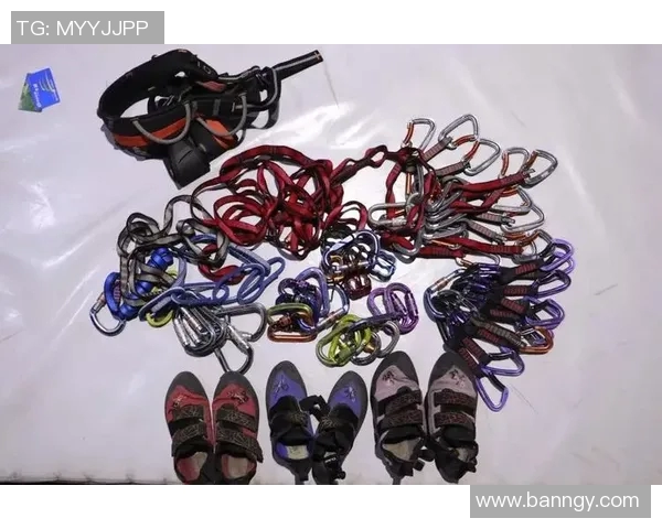 武汉攀岩队的蜕变之旅：从传统训练到现代竞技的全新探索