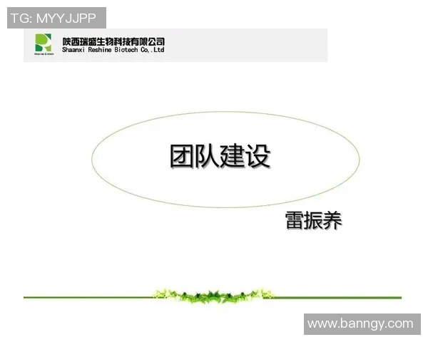 北京篮球队团队协作深度解析与其他球队的对比研究