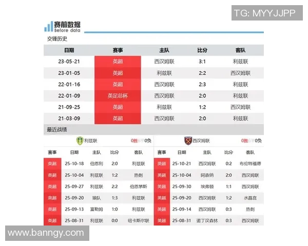 斯托克城与利兹联对决前瞻分析及比赛结果预测