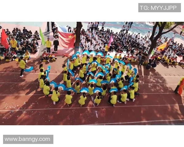 专访赵敏：探寻羽毛球背后的成功秘诀与奋斗历程